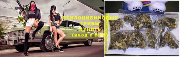 хмурый Белоозёрский