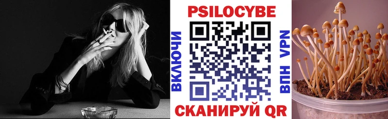 блэк спрут tor  Высоковск  Псилоцибиновые грибы Psilocybine cubensis  купить наркотики сайты 